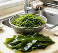 Seaweed Delight