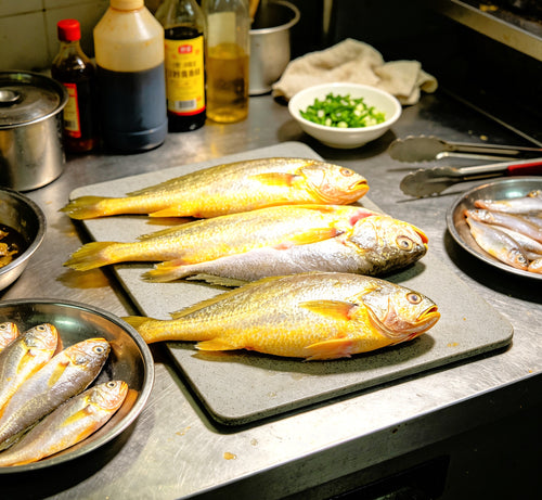 Golden Sea Bream